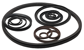 Rotary Seals